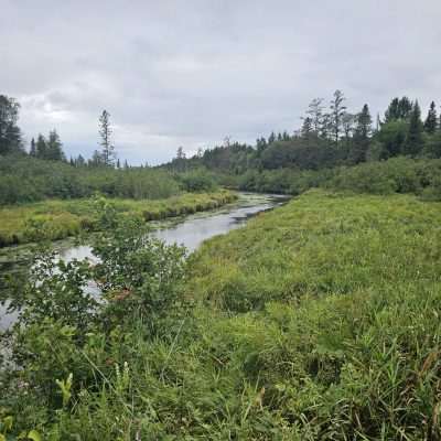 Lush green landscape with river and trees.