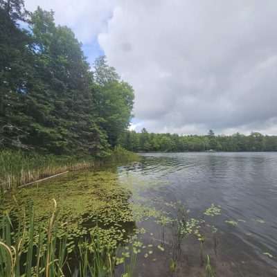 Peaceful lake with trees and cloudy sky.