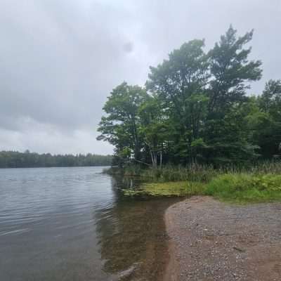 Tranquil lakeside view with trees on a cloudy day.