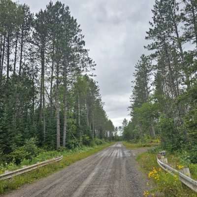 Gravel road through dense U.S. Forest Service Road