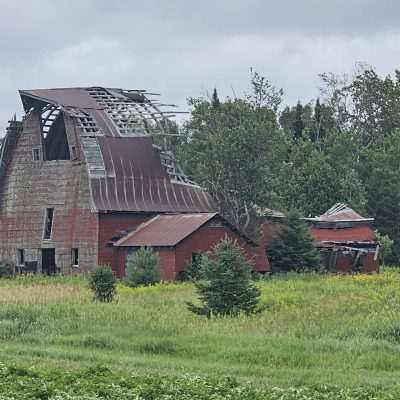 Abandoned barn in overgrown field