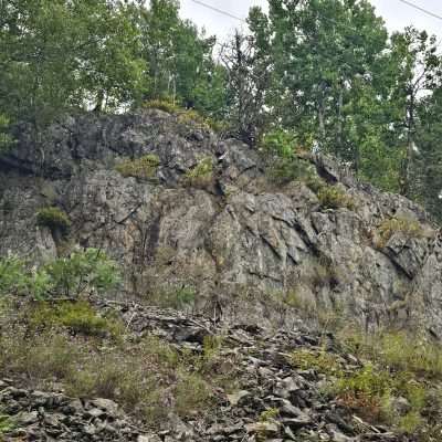 Rocky hillside with green trees and flowers