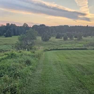 Sunset over a grassy field with trees in Old Pentoga U. P. Michigan.