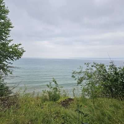 Calm ocean view with cloudy sky and green foliage.