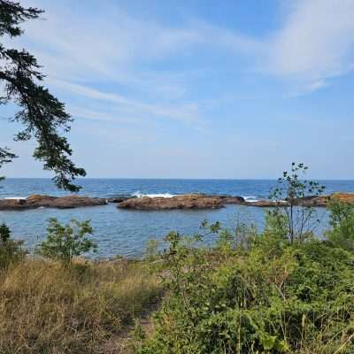 Rocky coastline with ocean view and shrubs.