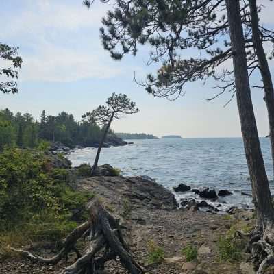 Rocky shoreline with trees and lake view.