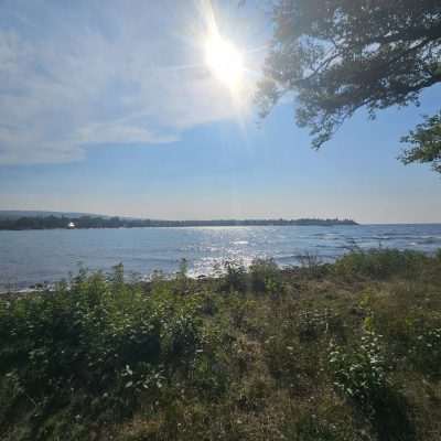 Sunny lakeshore with vegetation and distant hills.