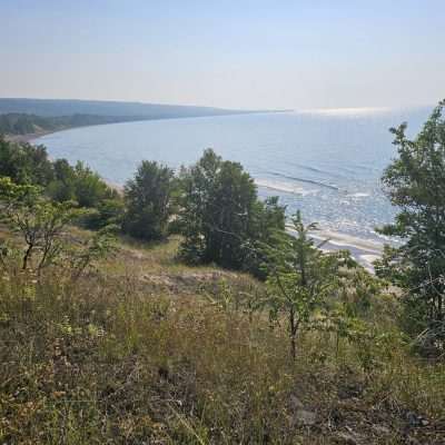 Coastal landscape with trees and ocean view