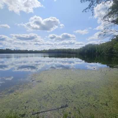 Lakeside view with blue sky and clouds