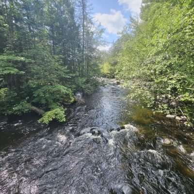 Flowing forest river under blue sky