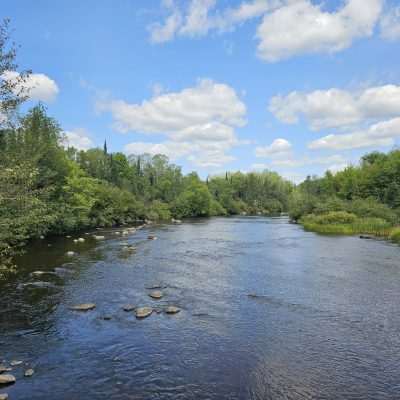 Peaceful river with surrounding green forest.