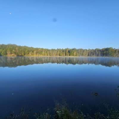 Calm lake with trees and clear blue sky.