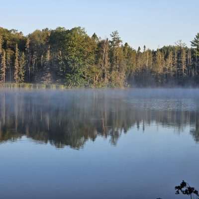 Misty lake reflecting forest trees at sunrise