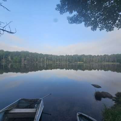 Serene lake with rowboat and forest in background.