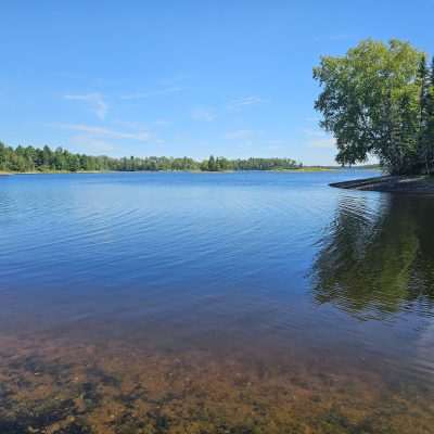 Lake shore with forest in background on part of the vast Michigamme Reservoir.