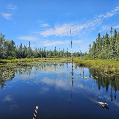 Another beautiful marsh area exploring in the WI Northwoods.