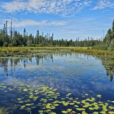 Another beautiful picture of a marsh area in the Northwoods.