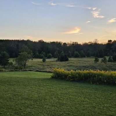 Another sunset over the Pentoga meadow with yellow skies and wildflowers.