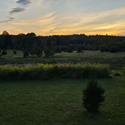 Sunset over the Pentoga meadow with yellow skies and wildflowers.