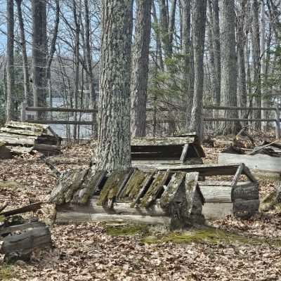 Abandoned wooden structures in a forest clearing.