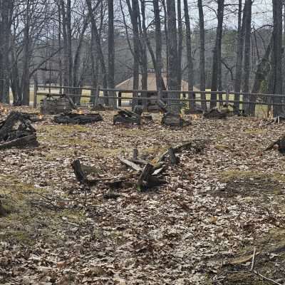 Wooden structures with autumn leaves in forest
